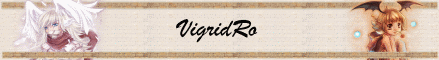 VigridRo Banner